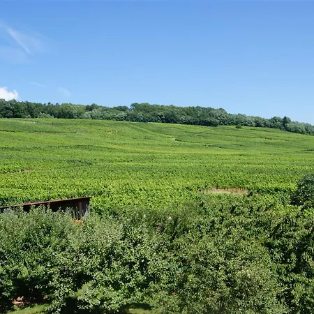 贝纳尔特贝德尔旅馆