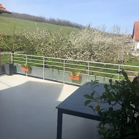 Binnert Bader Holiday home Nothalten