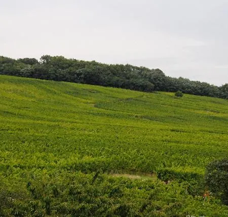 贝纳尔特贝德尔旅馆 度假居 *